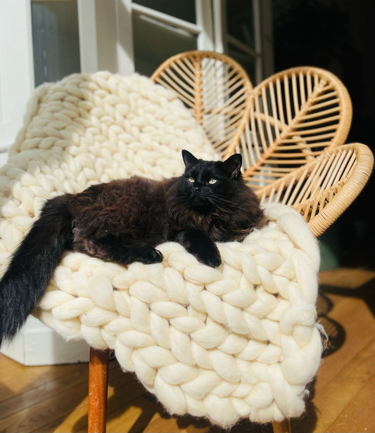 3x Frøbelen: Cozy Edition